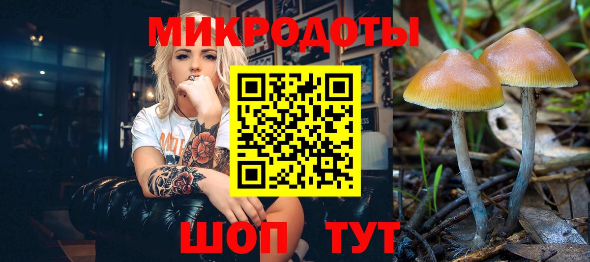 Псилоцибиновые грибы мицелий  наркотики  Прокопьевск  Вход с VPN  Галлюциногенные грибы MAGIC MUSHROOMS 