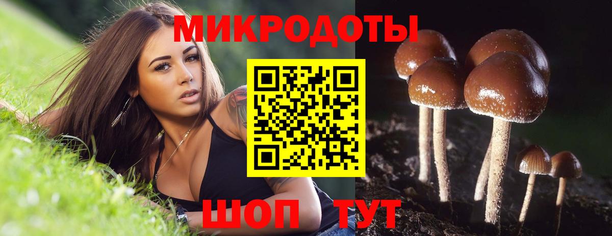 Псилоцибиновые грибы Psilocybe Прокопьевск